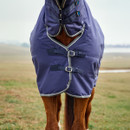 A horse stands in a field wearing a blue blanket with multiple buckles and straps. The background is a grassy landscape under an overcast sky.