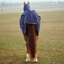 Brown horse standing in a field, wearing a blue turnout blanket with a hood, facing away. The landscape is open and grassy, with a serene tone.