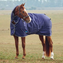 Chestnut horse wearing a navy turnout rug with neck cover, side view in an open field.