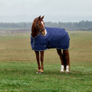 A chestnut horse wearing a blue blanket stands in a green field under a cloudy sky. Hills and trees are visible in the misty background.