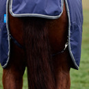 Close-up of a brown horse's rear wearing a blue blanket with gray trim. The tail is visible beneath the blanket, suggesting a calm outdoor setting.