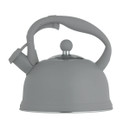 A view of a grey stovetop kettle on a white background