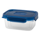 Clear rectangular plastic food container with a secure, dark blue lid and snap closures on the sides. It conveys practicality and modern simplicity.