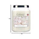 Colony Perfect Day fragranced candle shown with measurements of 13 cm tall and 9 cm wide, presented in a clear glass jar with silver lid and elegant white rose label design.
