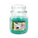 Price’s Candles Spa Moments medium jar candle with turquoise wax and clear glass lid, featuring a label with smooth black stones and delicate white flowers, evoking a calming and relaxing spa fragrance.