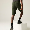 A back view of a man wearing  pair of khaki green Regatta walking shorts on a white background