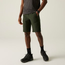A front view of a man wearing  pair of khaki green Regatta walking shorts on a white background