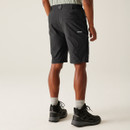 A back view of a man wearing a pair of grey Regatta walking shorts on a white background