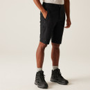 A front view of a man wearing black Regatta walking shorts on a white background