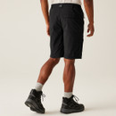 A back view of a man wearing black Regatta walking shorts on a white background