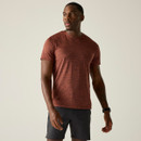 A front view of a man wearing a brown Regatta t-shirt on a white background