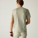 Regatta Men's Fingal Edition T-Shirt - Light Sage