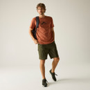 Regatta Men's Cline IX T-Shirt - Brick