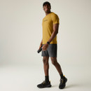 Regatta Men's Fingal Stretch Graphic T-Shirt - Wood Brown