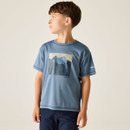 Young boy in a blue t-shirt with a mountain graphic, looks left with a neutral expression. Background is plain, creating a calm, simple tone.