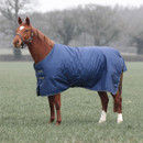 Chestnut horse wearing a navy Shires Typhoon turnout rug standing in a misty field.