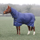 Chestnut horse wearing a navy Shires Typhoon turnout rug standing in a misty field.