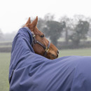 Side view of a horse wearing a navy neck cover attached to a Shires Typhoon turnout rug.