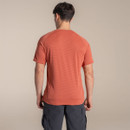 Back view of model wearing dark salmon striped Craghoppers NosiLife SolarShield+ T-shirt.