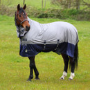 Horse wearing a grey and navy fly rug with detachable neck cover and BW-branded straps, standing in a grassy field.