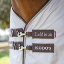 Close-up of a horse wearing a light-coloured LeMieux Kudos rug with two brown straps and silver clips. The design is sleek and sophisticated.