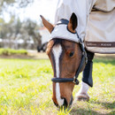 A horse wearing a protective fly sheet and headgear grazes on lush green grass in a sunny field, conveying a sense of calm and contentment.