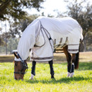 A horse grazes in a sunlit field, wearing a protective light grey blanket. Trees in the background create a serene, pastoral atmosphere.