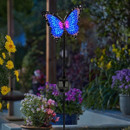Solar-powered butterfly garden stake light with animated blue and pink LED wings, glowing at night among colourful flowers.