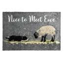 Doormat with a playful design. It features a sheepdog and a sheep facing each other on a grassy patch. The text reads, "Nice to Meet Ewe."