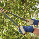 Hands wearing blue and white rigger gloves using long-handled loppers to cut branches in a tree.