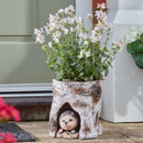 Rustic log-style planter with a hedgehog in a hollow, filled with pale pink flowers on a doorstep.