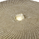 Close-up of a textured, beige stone surface with concentric grooves radiating from a central bubbling water feature, conveying a tranquil, organic vibe.