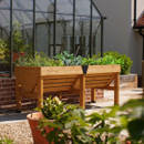Raised wooden planter trough filled with leafy plants, set outside a glass greenhouse on a patio.