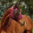 Side view of horse wearing burgundy fly mask with mesh eye protection outdoors