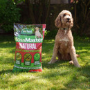 A curly-haired dog sits on green grass next to a colourful bag of MossMaster Natural moss remover. The scene is bright, conveying a playful summer vibe.