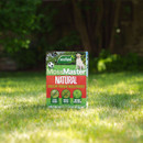 Box of "MossMaster Natural" moss remover on a sunny lawn. Features pup, soccer ball, and product claims. Appears child and pet-friendly.