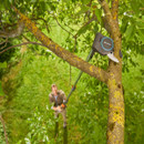 A man uses a telescopic tree pruner to cut a lichen-covered branch in a lush green garden. The scene conveys focus and care in gardening.