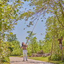 A person wearing jeans and a brown shirt uses a long-handled pruner to trim tree branches along a sunlit path. The scenery is lush and vibrant.