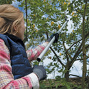 Close-up of gardener using telescopic tree pruner to trim branches in a leafy tree