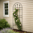 Black metal arched trellis with decorative finials mounted against a house wall, supporting a climbing rose plant in bloom.