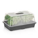 Unheated propagator with clear vented lid and black base tray, shown with young plants growing inside against a plain background.