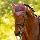 A chestnut horse with a braided mane, wearing a purple ear bonnet and bridle, stands against a backdrop of sunlit green foliage, conveying elegance.
