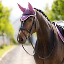 A brown horse wearing a pink fly bonnet and bridle stands on a sunlit path, its mane neatly braided. The scene feels serene and elegant.