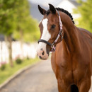 A chestnut horse with a braided mane and white facial markings stands calmly on a tree-lined path, wearing a pink halter. The background is softly blurred.