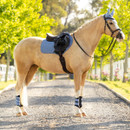 A tan horse with braided mane and blue ear cover stands on a tree-lined path. It's saddled and bridled, conveying a calm, elegant scene.