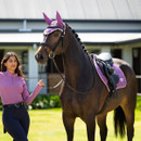 A woman in a pink top walks beside a brown horse with a braided mane. The horse wears a purple saddle and ear cover. The setting is sunny and serene.