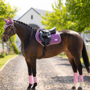 A brown horse stands on a gravel path, wearing pink tack including a saddle pad, boots, and ear covers. The background shows green trees and a white building.