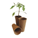 12.5cm round fibre plant pots, with a young tomato seedling growing in one pot and two empty biodegradable pots alongside.