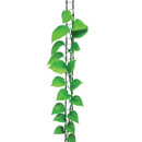 Green jute plant ladder supporting a climbing houseplant against a vertical surface.