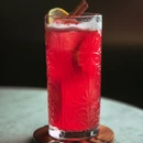 Red cocktail served in a patterned highball glass with a lemon garnish and cinnamon stick, showcasing the textured glass design.